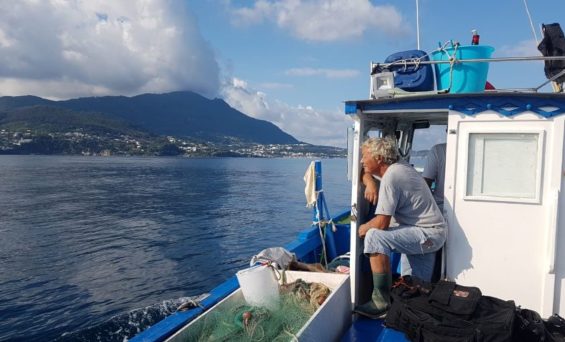 BLU FISH 2019: LA REGIONE CAMPANIA PROMUOVE IL “PESCE POVERO”