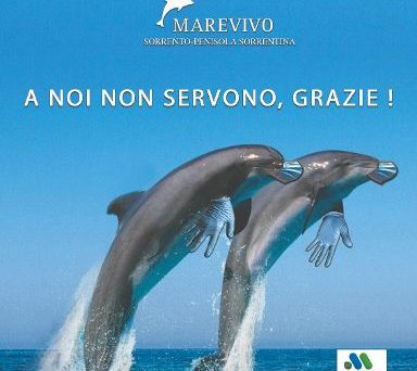 MAREVIVO PENISOLA SORRENTINA: PARTE LA CAMPAGNA DI SENSIBILIZZAZIONE SULL’INQUINAMENTO DI MASCHERINE E GUANTI