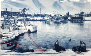 SORRENTO: AL CHIOSTRO DI SAN FRANCESCO DA SABATO 21 MOSTRA FOTOGRAFICA PER IL 150° ANNIVERSARIO DELLA FONDAZIONE DELLA CITTA’ DI MAR DE PLATA