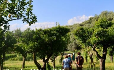 SORRENTO: SABATO 19 SECONDO APPUNTAMENTO DI SORRENTO WALKS. ALLA RISCOPERTA DEL SITO ARCHEOLOGICO DELLA REGINA GIOVANNA