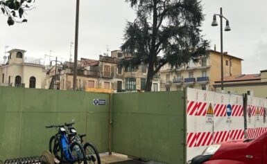 SORRENTO: FESTA DELL’ALBERO AL FONDO PETRULO, “FESTA” AL CEDRO DEL LIBANO IN PIAZZA ANDREA VENIERO