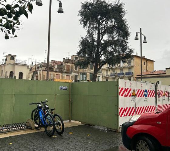 SORRENTO: FESTA DELL’ALBERO AL FONDO PETRULO, “FESTA” AL CEDRO DEL LIBANO IN PIAZZA ANDREA VENIERO