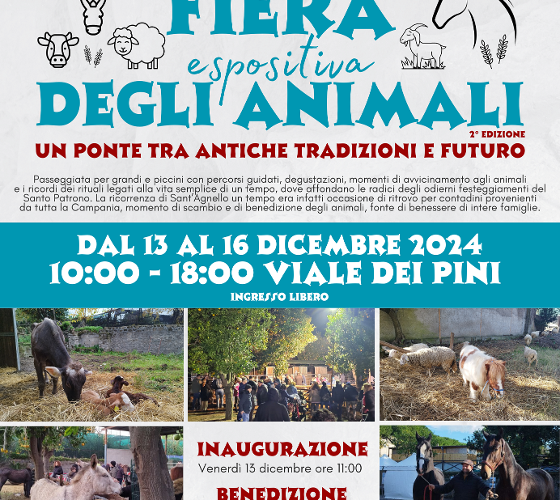 SANT’AGNELLO: DAL 13 AL 16 DICEMBRE, FIERA DEGLI ANIMALI AL VIALE DEI PINI